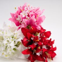 Lilium bouquet x6