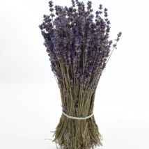 Lavanda secca mazzoorig.