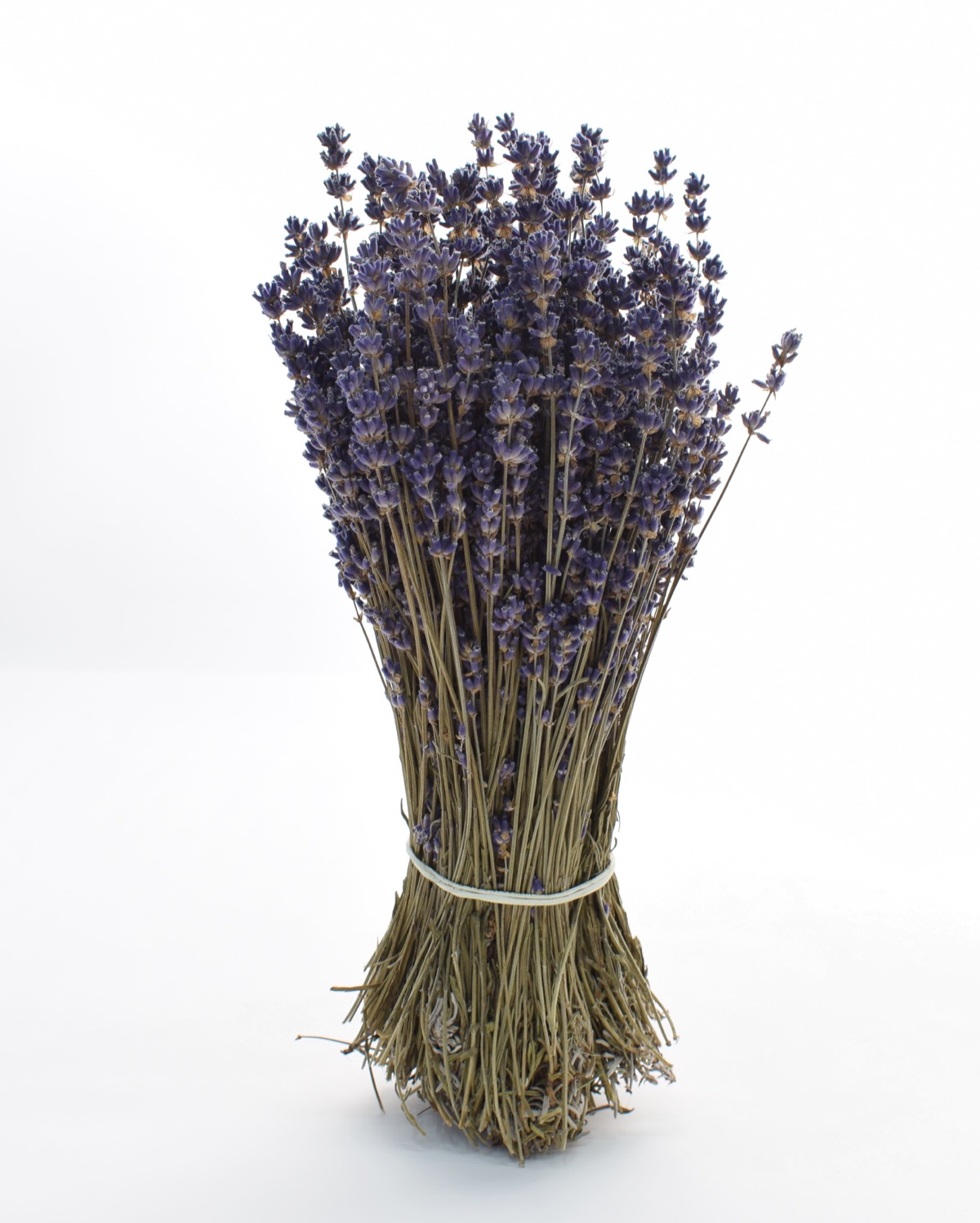 Lavanda secca mazzoorig.