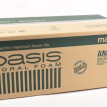 Oasis ideal 20 mattonelle 1010