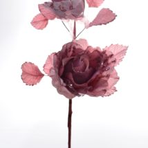 Rosa bocciolo spraydiscovery pz.3