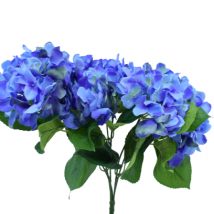 Ortensia bush blu x5