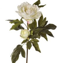 Peonia ramo x2 cm.87pz.3