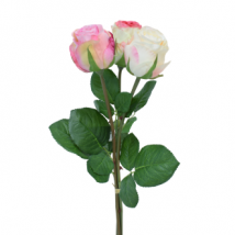 Rose bundle x3 cm.53