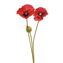 Poppy branch 2flowers+1bulbo cm.75 pz.6