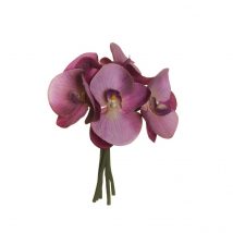 Phalaenopsis real touch bundle x5 cm.25