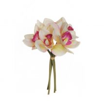 Cymbidium real touchbundle x5 cm.27