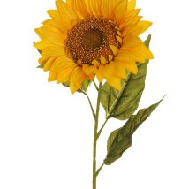 Sunflower d.13cm pz.6