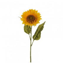 Sunflower d.18cm pz.6