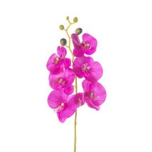 Orchidea ramo x6 fiori cm.66 pz.3