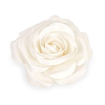 Rosa avorio/cipria d.50 cm.