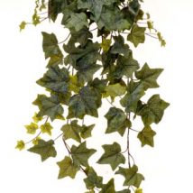 Ivy bush cm.90 con 159 foglie