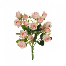 Mini rose bush x5 rami