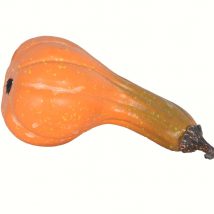 Zucca lunga arancione cm.36x14 h.14