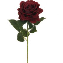 Rosa velvet regina cm.74 pz.4