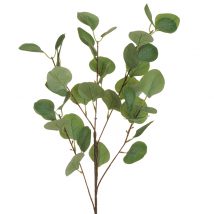 Ramo eucalipto cm.90 pz.6
