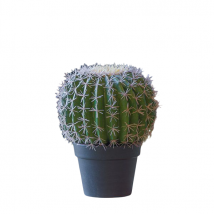 Cactus in vaso 27x27x33