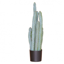 Pianta cactus c/vasocm.90