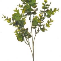Ramo eucalipto cm.65pz.6