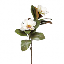 Ramo magnolia x2 cm.85