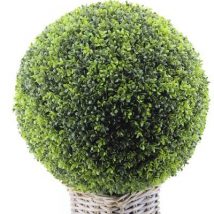 Sfera boxwood d.50