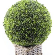 Sfera boxwood d.40