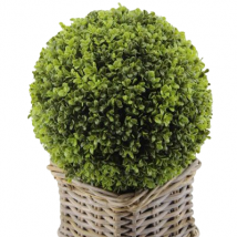 Sfera boxwood d.30 aa1467