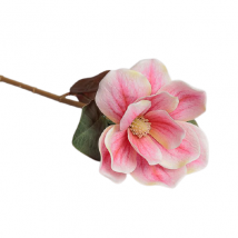 Ramo magnolia cm.65pz.3