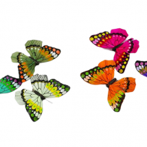 Farfalla con clip colori assortiti cm.14 pz.12