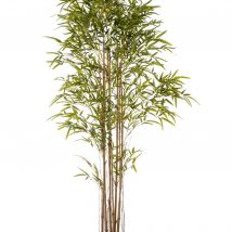 Pianta bamboo 3373 foglie cm.230