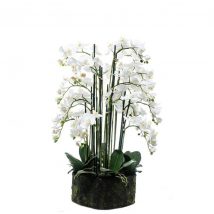 Pianta phalenopsis natural touch cm.90