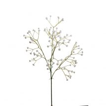 Gypsophila cm.60 pz.6