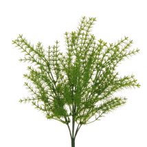 Thymus plastic bush x5 cm.36 pz.2