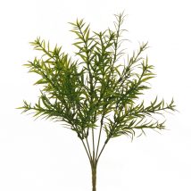 Rosemary aromatic bush x5 cm.38 pz.2