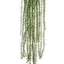 Rosemary plastic hanging bush x7 cm.94