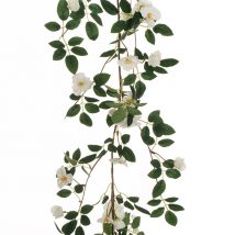 Dogwood rose garland white cm.160