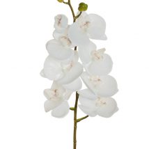 Phalaenopsis 7 fiori real touch cm.102
