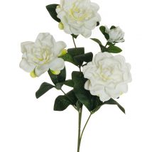 Gardenia spray x4 cm.67 pz.3