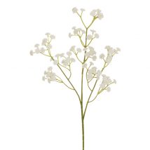 Gypsophila spray x381 fiori cm.62 pz.6